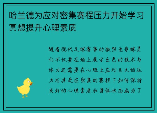 哈兰德为应对密集赛程压力开始学习冥想提升心理素质